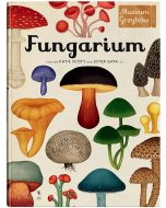 W Muzeum. Fungarium. Muzeum Grzybów