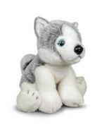 Pluszowy Husky