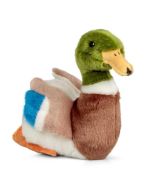 Pluszowa kaczka
