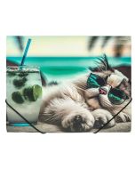 Teczka A4 PP na gumkę z nadrukiem Chillout Cat