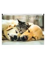 Koperta A4 PP z nadrukiem zip Friendship