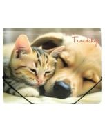 Teczka A4 PP na gumkę z nadrukiem Friendship