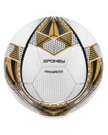 Piłka nożna Progress