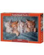 Puzzle 1000 The Sweetest Kittens CASTOR