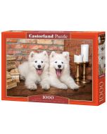 Puzzle 1000 Samoyed Puppies Say Hello CASTOR