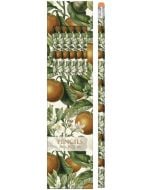 Ołówki ozdobne STPEN25 pomarańcza - zestaw 6 sztuk