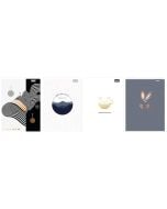 Zeszyt A5/60K linia Calm (5szt)