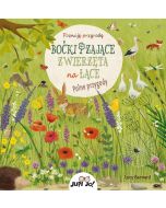 Boćki i zające. Zwierzęta na łące. Polne przygody