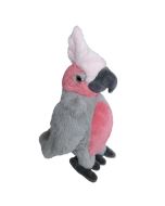 Kakadu różowe 22cm