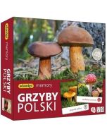 Memory Grzyby Polski
