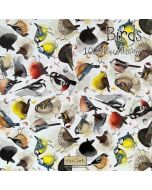 Puzzle 1000 J12 Ptaki