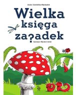 Wielka księga zagadek