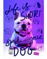 Zeszyt A4/60K kratka Basic mix (10szt) MAR MAR