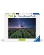 Puzzle 1500 Pola i gwiazdy