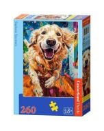 Puzzle 260 Euphoric Spectrum CASTOR