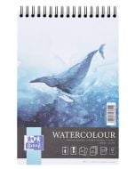 Blok artystyczny akwarela A5/20K 300g spirala