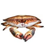 Krab 31cm