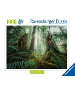 Puzzle 1000 Lasy
