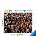 Puzzle 1000 Challenge. Harry Potter