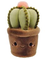 Maskotka Kaktus STnux
