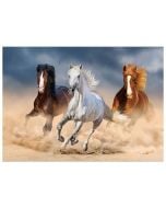Mozaika diamentowa 5D - Konie 40x30cm