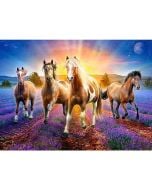 Mozaika diamentowa 5D - Konie 40x30cm