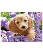 Mozaika diamentowa 5D - Pies 40x30cm