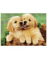 Mozaika diamentowa 5D - Psy 40x30cm