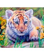 Mozaika diamentowa 5D - Tygrys 40x30cm