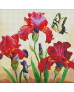 Diamentowa mozaika - Wytworne irysy 40x40cm