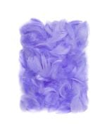 Piórka lilac 5-12cm 10g