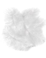 Pióra indycze białe 15cm 5szt