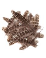 Pióra kacze 15-20cm 5g