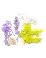 Kwiaty suszone dekoracyjne liliowy biały