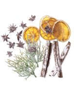 Naturalne elementy 19szt