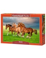 Puzzle 500 Horses in Spring Rush CASTOR
