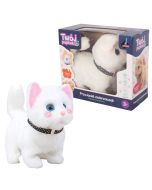 Twój pupilek kotek biały