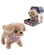 Twój pupilek piesek