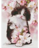 Diamentowa mozaika - Puszysty kotek 30x40cm