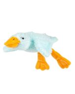 Sensoryczna Gęś błękitna