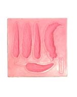 Forma silikonowa pióra 2