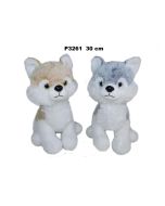 Pies husky 30cm MIX