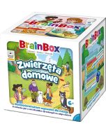 BrainBox - Zwierzęta domowe REBEL