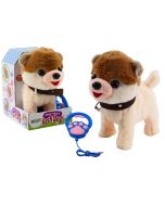 Pies interaktywny na smyczy chodzi tańczy śpiewa