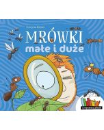 Mrówki małe i duże