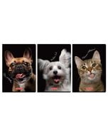 Zeszyt A4/60K kratka z marginesem Animals (5szt)