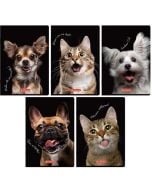 Zeszyt A5/60K kratka z marginesem Animals (10szt)