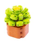 Klocki Mini Kwiaty Aeonium 136el