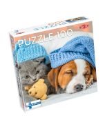 Puzzle 100 Cute Kitten and Sleepy Dog