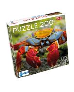 Puzzle 200 Colourful Crab